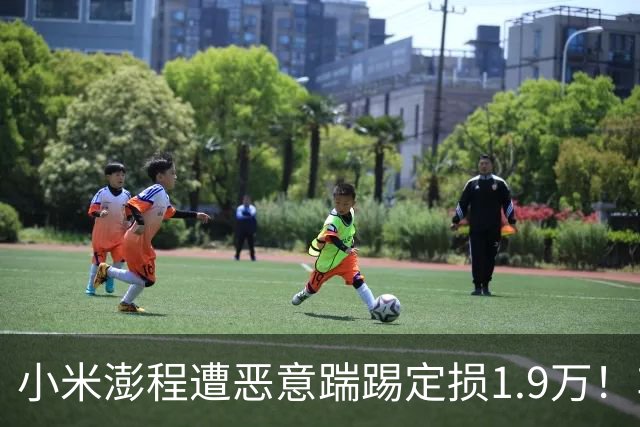 小米澎程遭恶意踹踢定损1.9万！车主放话：绝不手软，绝不和解……