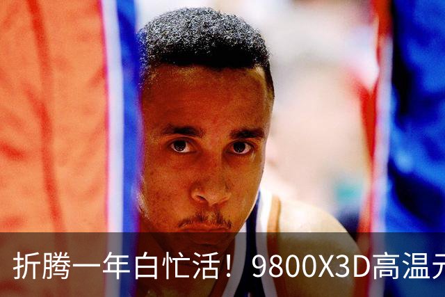 折腾一年白忙活！9800X3D高温元凶竟是BIOS：更新后从95℃直降9℃