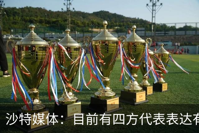 沙特媒体：目前有四方代表表达有意参与利雅得胜利收购的兴趣