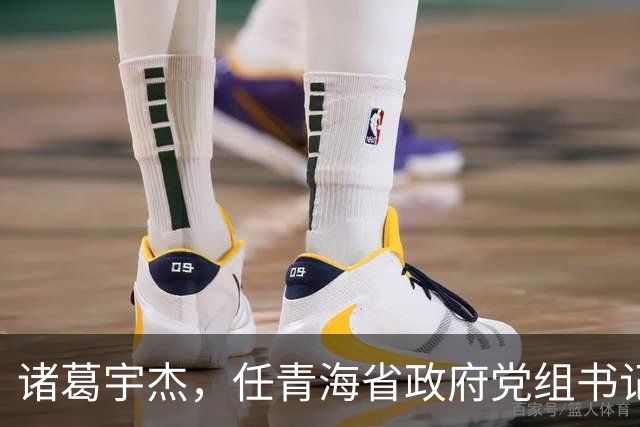 诸葛宇杰，任青海省政府党组书记！池州市委书记朱浩东，当选安徽省委常委！